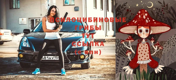 ECSTASY Верхний Тагил