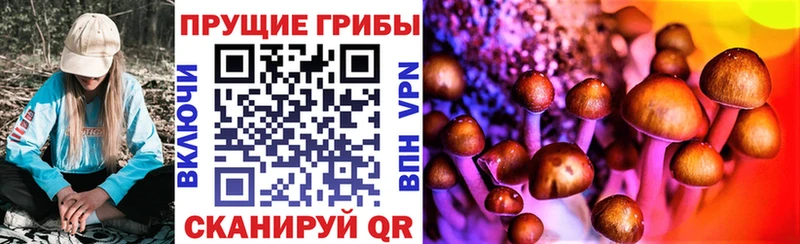 Псилоцибиновые грибы Magic Shrooms  Кирсанов 
